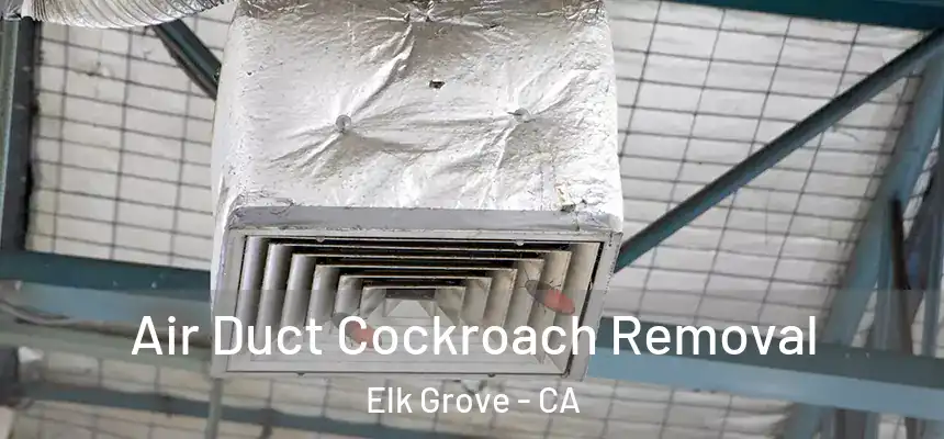 Air Duct Cockroach Removal Elk Grove - CA