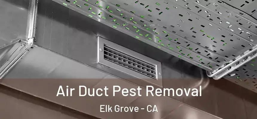 Air Duct Pest Removal Elk Grove - CA