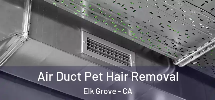Air Duct Pet Hair Removal Elk Grove - CA