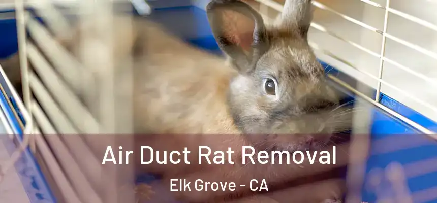 Air Duct Rat Removal Elk Grove - CA