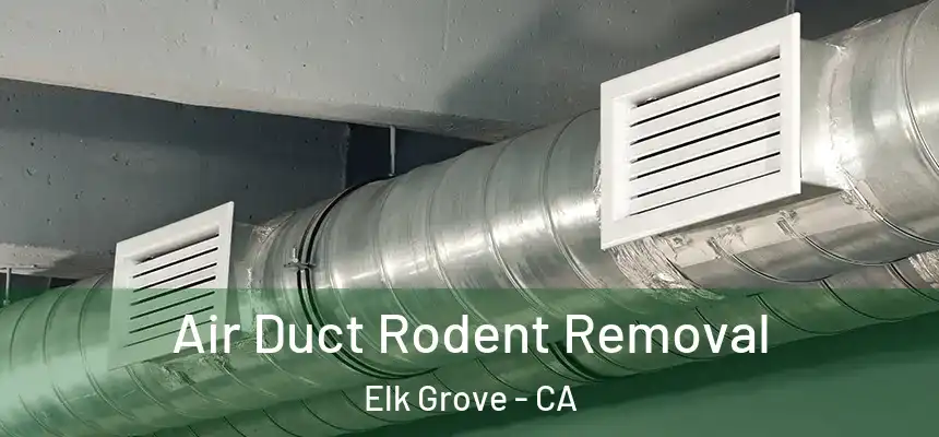 Air Duct Rodent Removal Elk Grove - CA