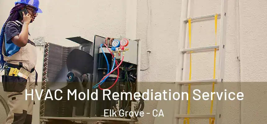 HVAC Mold Remediation Service Elk Grove - CA