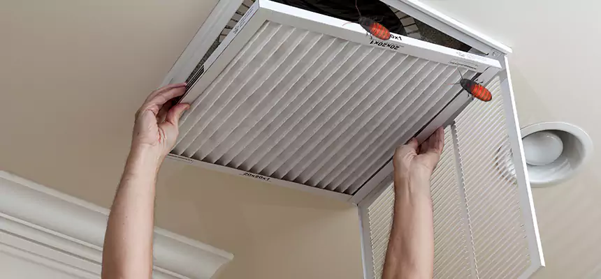 Our Insect Removal from Air Ducts Services in Elk Grove, CA