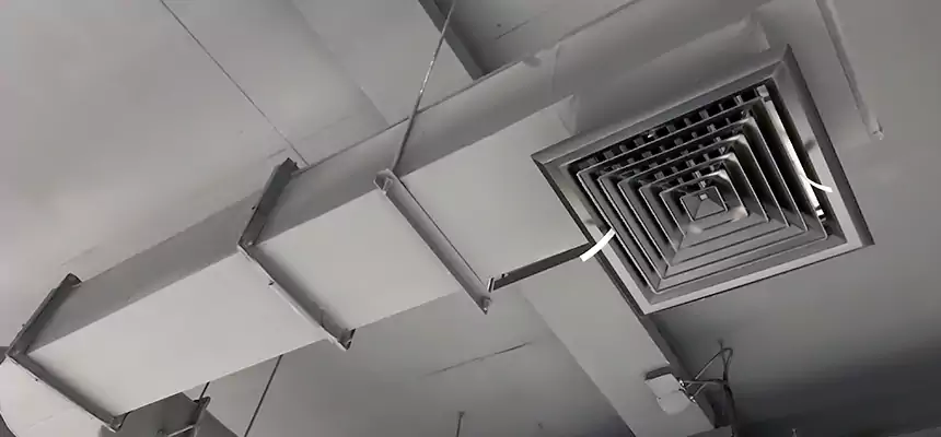 Our Pest Removal From Ducts Services in Elk Grove, CA