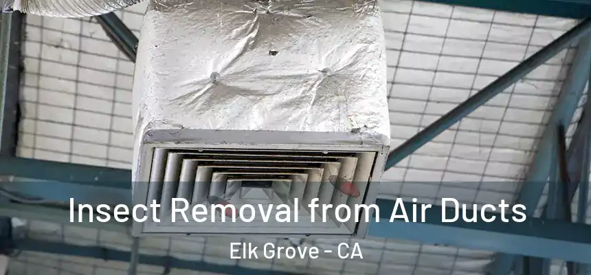 Insect Removal from Air Ducts Elk Grove - CA