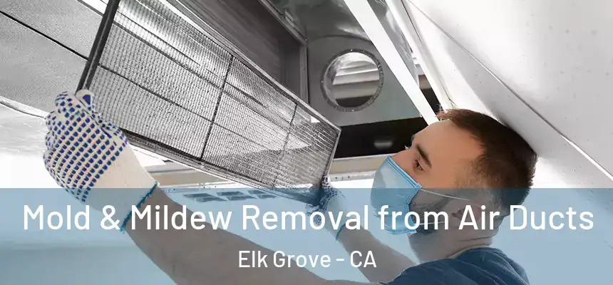 Mold & Mildew Removal from Air Ducts Elk Grove - CA