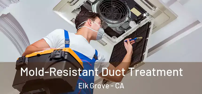 Mold-Resistant Duct Treatment Elk Grove - CA