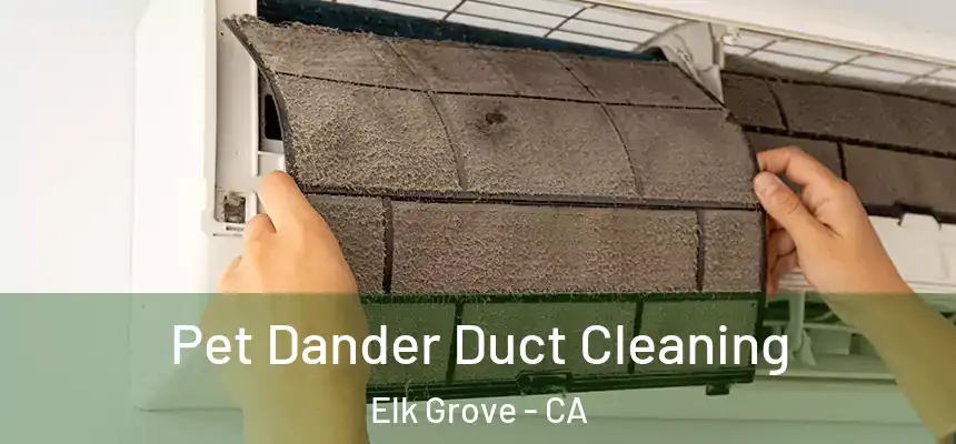 Pet Dander Duct Cleaning Elk Grove - CA