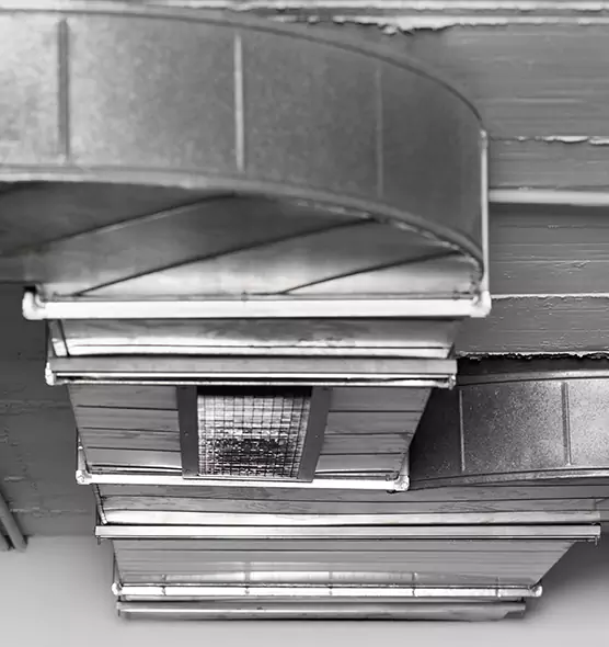 Professional Air Duct Pet Hair Removal in Elk Grove, CA