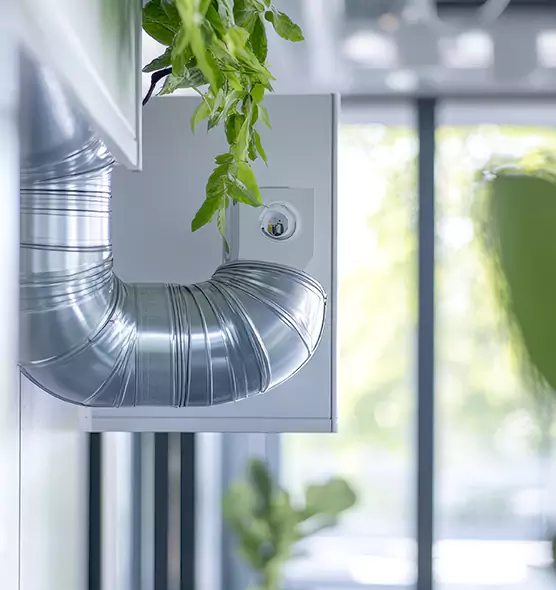 Professional Eco-Safe Dryer Vent Cleaning in Elk Grove, CA