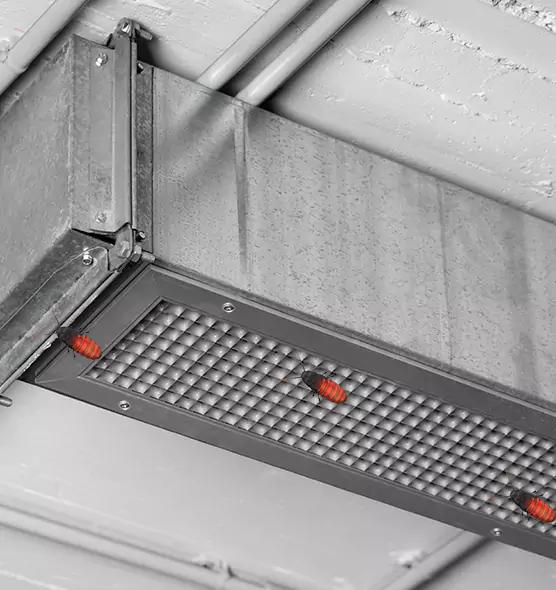Affordable Insect Removal from Air Ducts in Elk Grove, CA