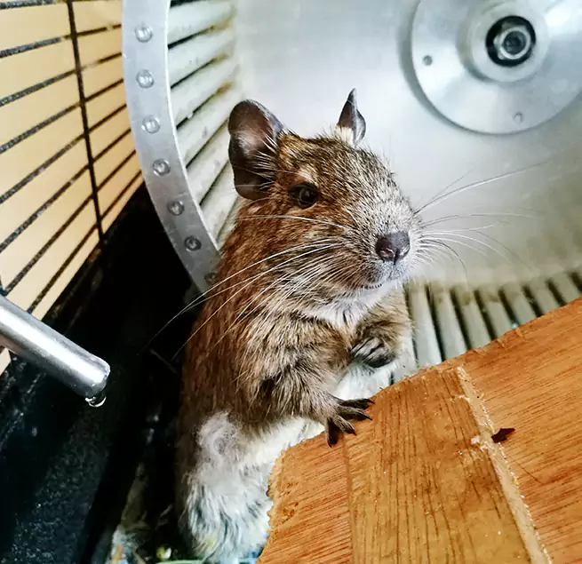 Why Homeowners & Businesses Trust Us Elk Grove, CA