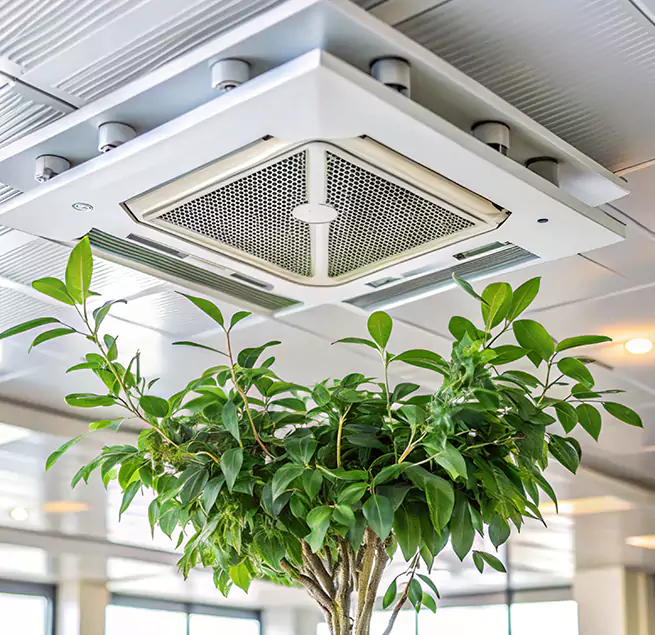 Why Homeowners & Businesses Trust Us in Elk Grove, CA?