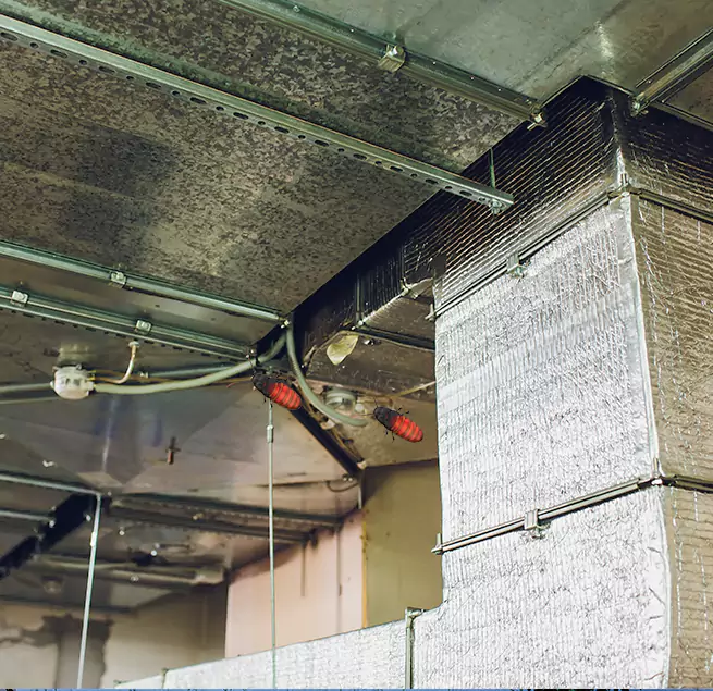 Why Homeowners & Businesses Trust Us Elk Grove, CA?