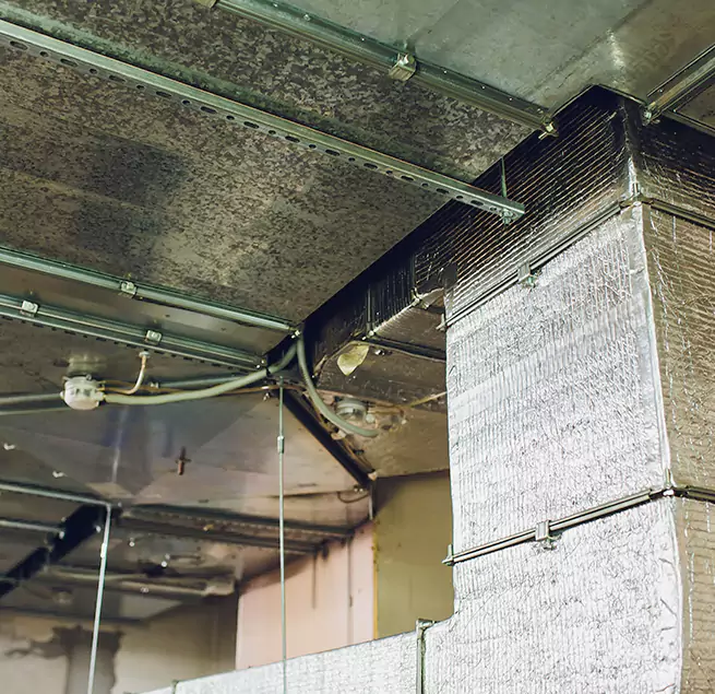 Why Homeowners & Businesses Trust Us in Elk Grove, CA?