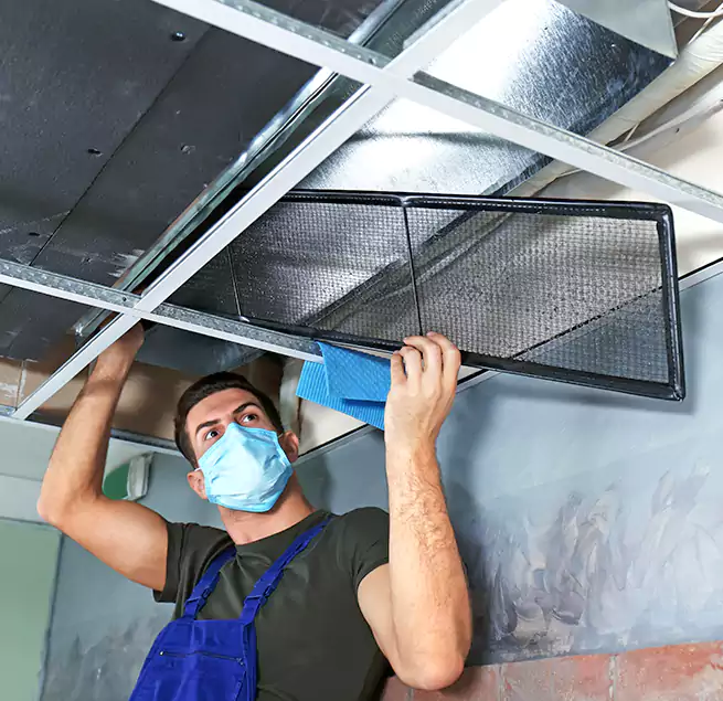 Why Homeowners Businesses Trust Us in Elk Grove, CA